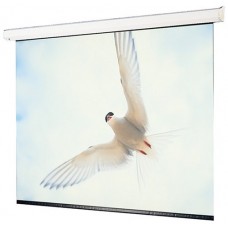 Draper EWSDR1717 MOTORIZED SCREEN
